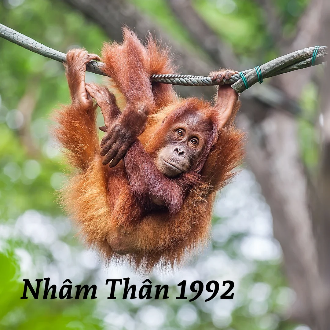 1992 mệnh kim gì Kiếm Phong Kim và đặc điểm tính cách