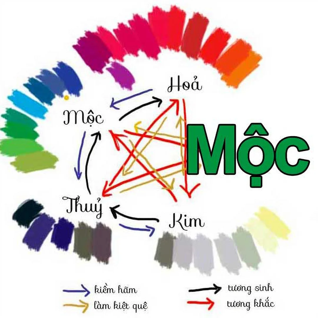 bảng màu nữ mệnh mộc hợp màu gì năm 2026