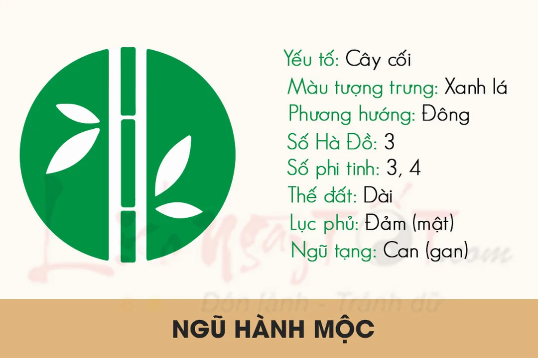 Bảng minh họa mệnh Mộc là gì trong ngũ hành phong thủy