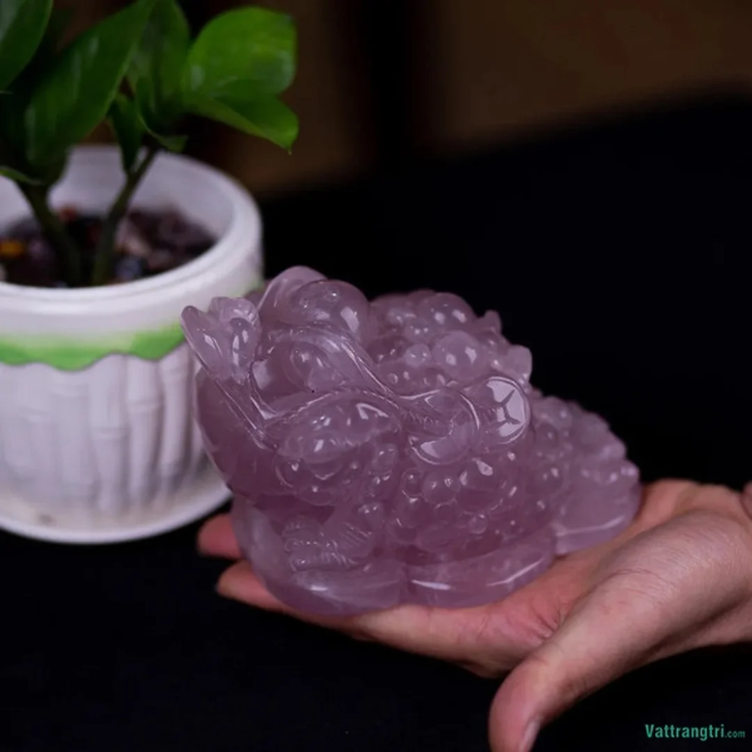 Thiềm thừ thạch anh tím trong phong thủy các loại đá phong thủy tự nhiên thạch anh tím thiềm thừ