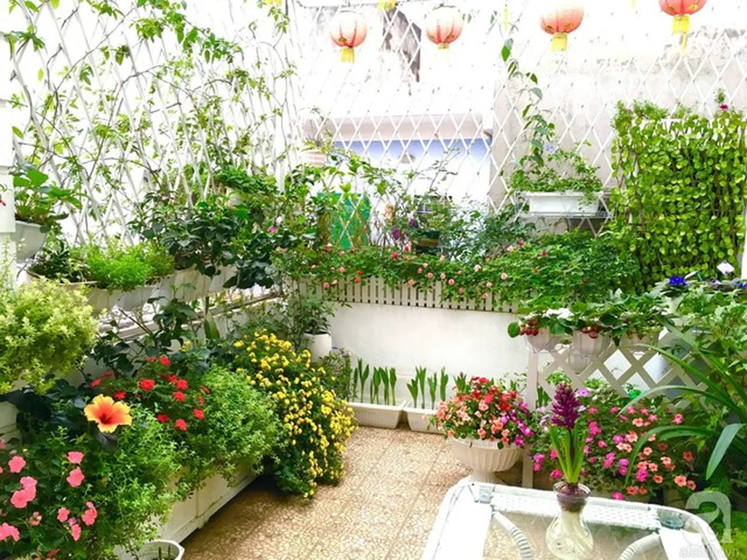 Cải tạo phong thủy nhà ở bằng cây xanh ánh sáng và tiểu cảnh