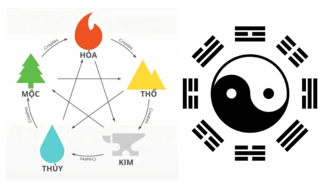 Câu hỏi thường gặp về mệnh Mộc năm nào câu hỏi thường gặp về mệnh mộc năm nào