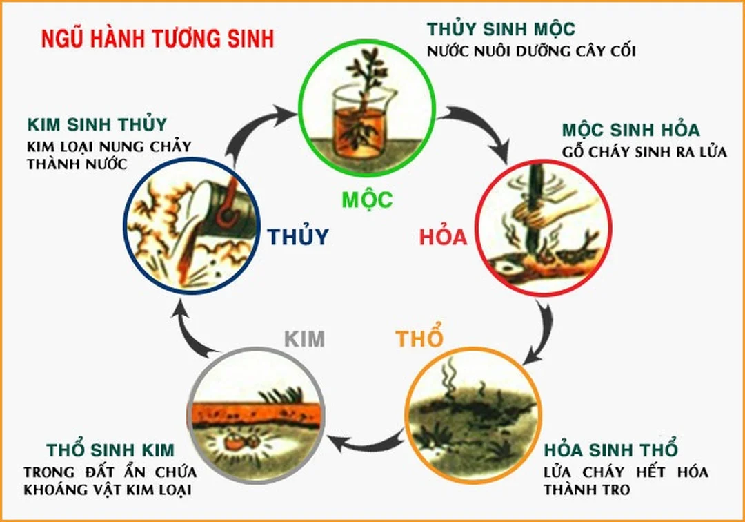Câu hỏi thường gặp về ngũ hành tương sinh hình minh họa lý giải ngũ hành tương sinh trong đời sống