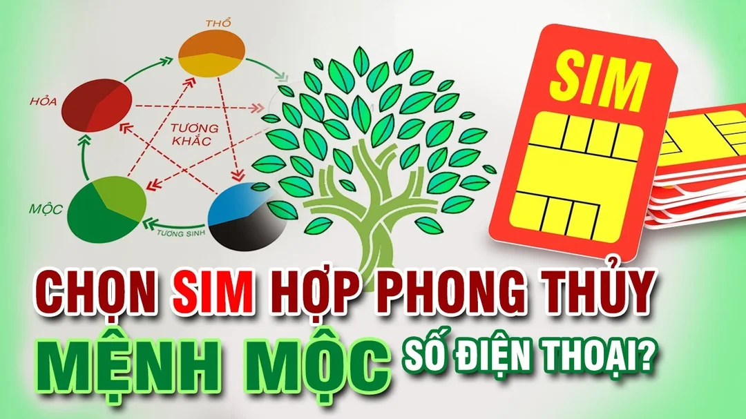 Hướng dẫn chọn sim phong thủy hợp mệnh Mộc