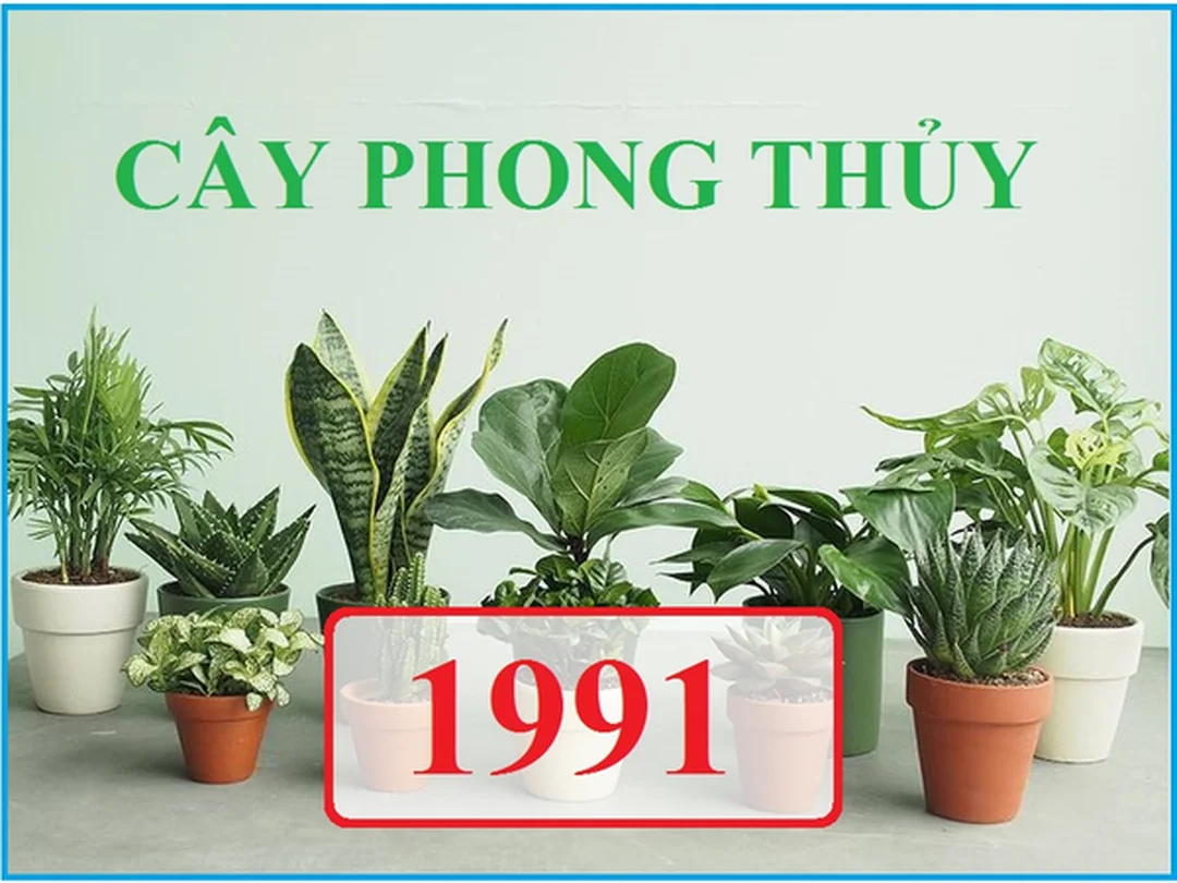 Màu sắc và cây xanh trong phong thủy nhà ở tuổi Tân Mùi Màu sắc và cây xanh trong phong thủy nhà ở tuổi Tân Mùi