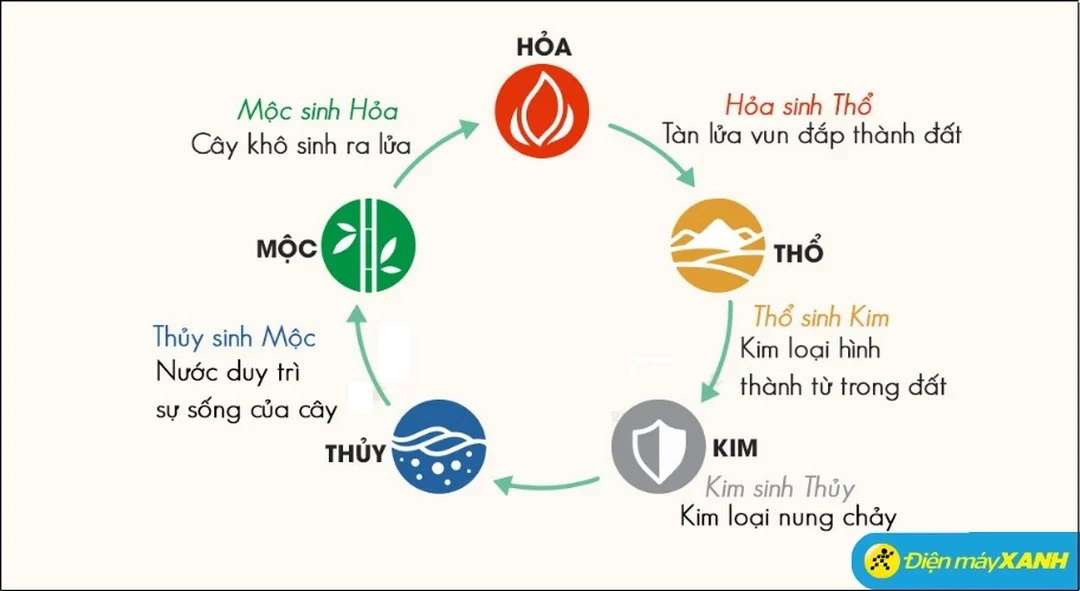 mệnh hỏa hợp cây gì theo ngũ hành Mộc sinh Hỏa