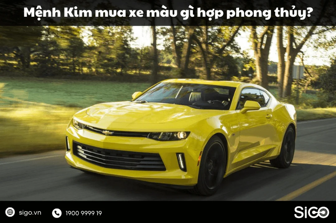 mệnh kim mua xe màu gì khi chọn xe điện hybrid năm 2026