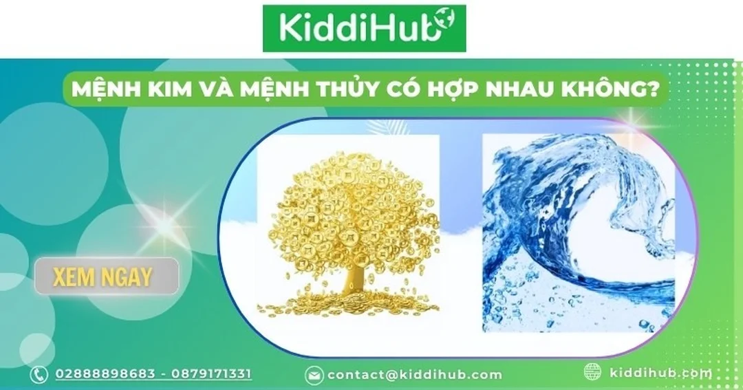 mệnh kim và mệnh thủy có hợp nhau không qua sơ đồ ngũ hành
