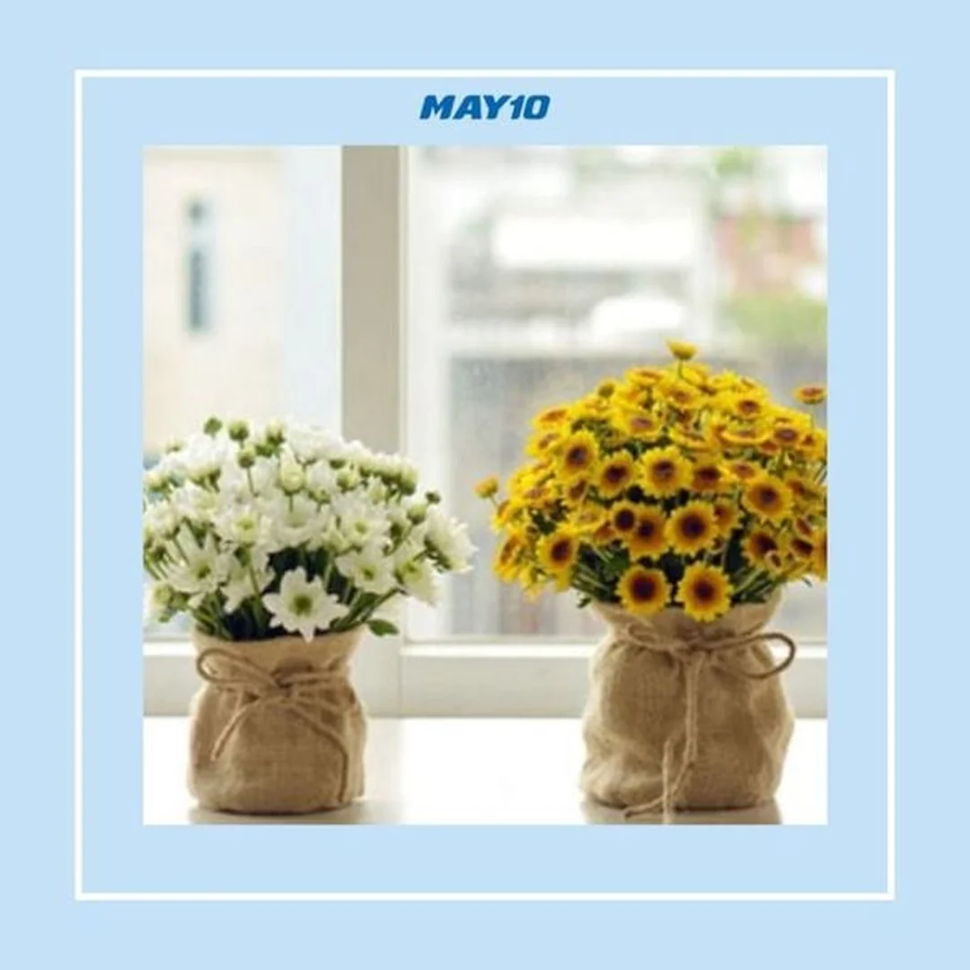 Bảng chọn hoa hợp mệnh Mộc mệnh mộc hợp hoa gì với bảng chọn hoa xanh phong thủy