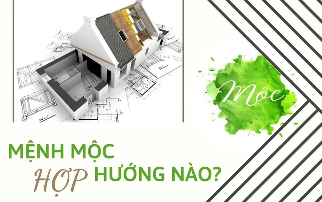mệnh mộc hợp hướng nào khi chọn hướng nhà