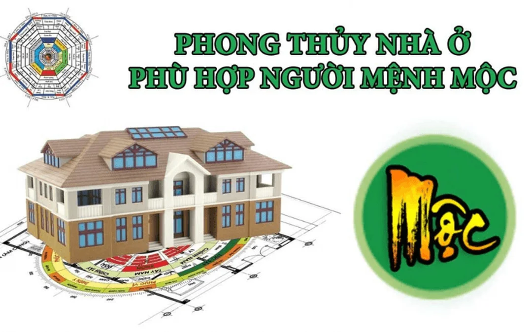 mệnh mộc hợp hướng nào khi nhà không hợp hướng