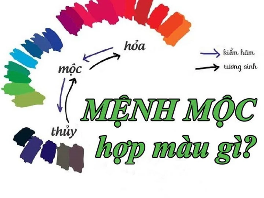 mệnh mộc hợp hướng nào theo ngũ hành và bát trạch