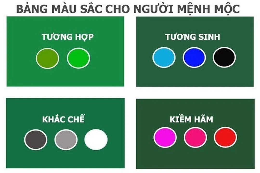 mệnh mộc hợp màu gì với xanh lá trong thiết kế nội thất