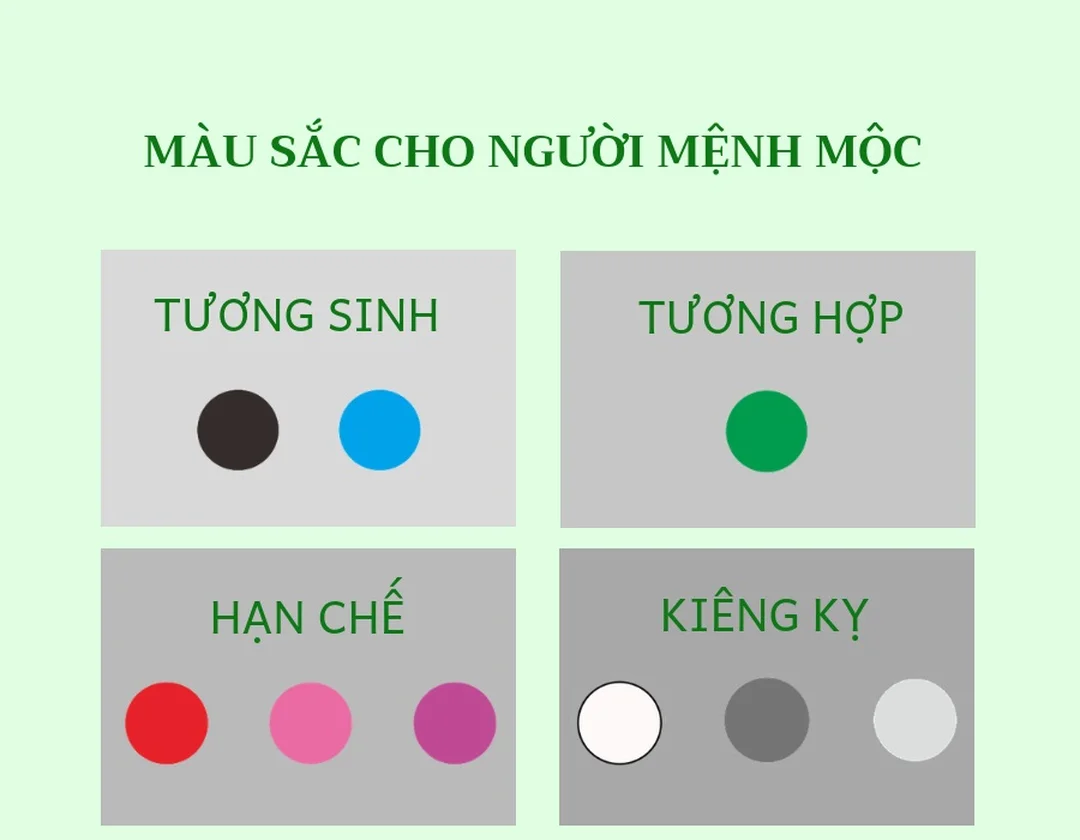 mệnh mộc hợp màu j khi chọn màu xanh lá và xanh dương thực tế