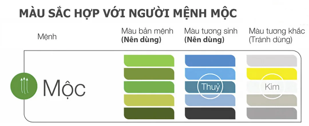 mệnh mộc hợp màu nào qua trang sức và vật phẩm xanh