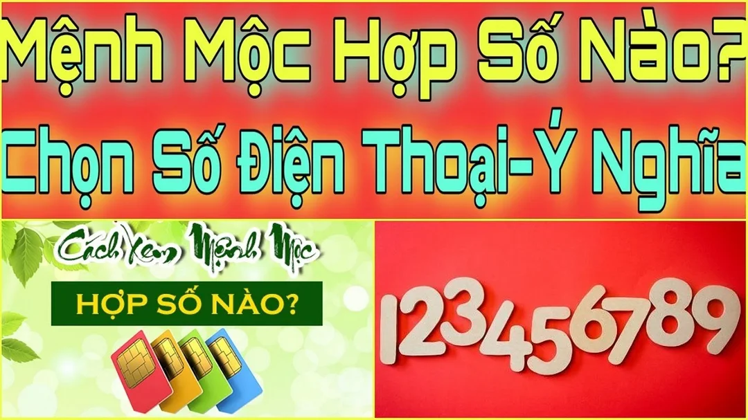 mệnh mộc hợp số nào câu hỏi thường gặp