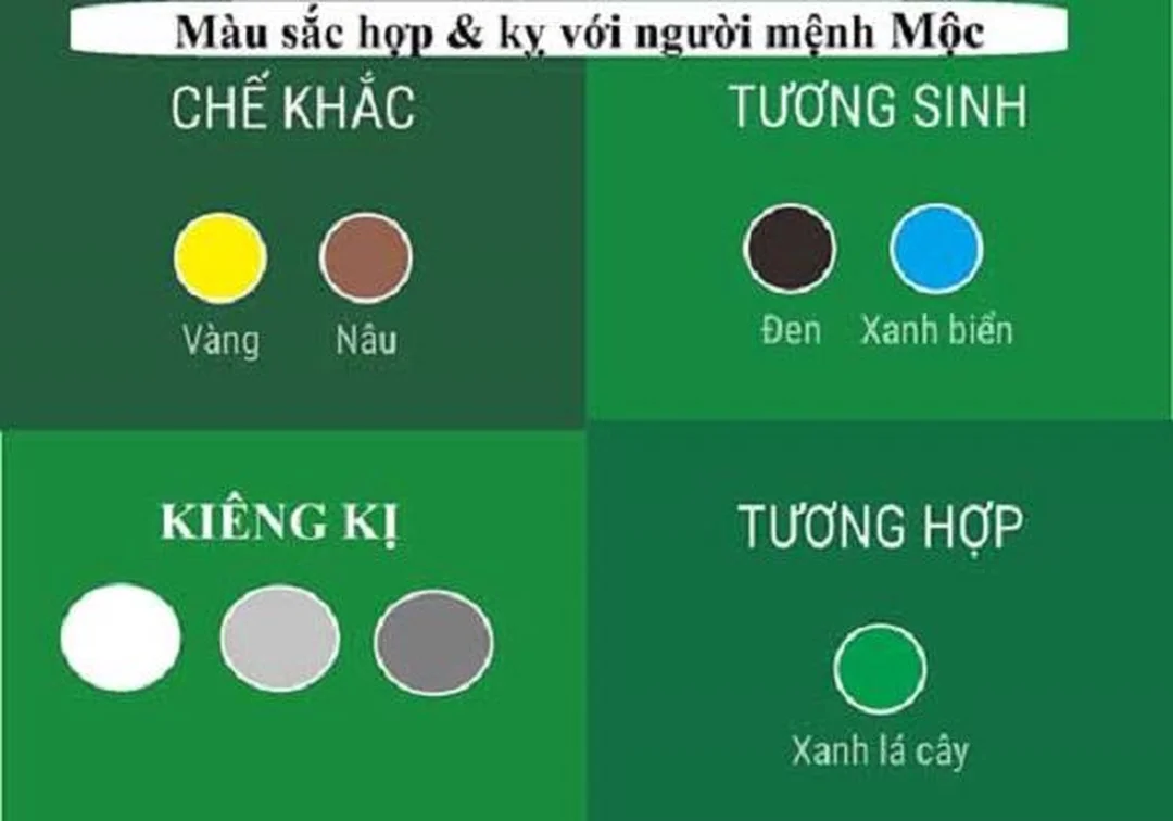 mệnh mộc hợp với mệnh nào qua cách tự kiểm tra