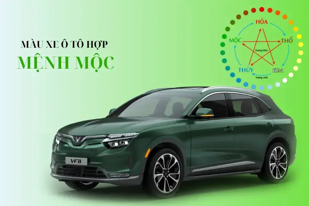 mệnh mộc hợp xe màu gì theo năm sinh mệnh mộc hợp xe màu gì bảng chọn màu theo năm sinh