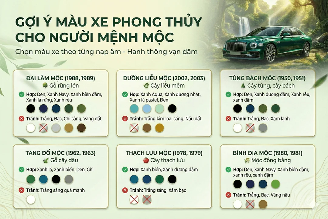 mệnh mộc hợp xe màu gì với xe xanh lá mệnh mộc hợp xe màu gì khi xe xanh lá ít phổ biến