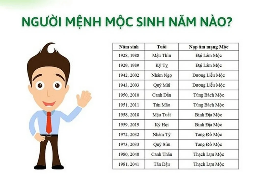 Bảng năm sinh giúp xác định mệnh Mộc khắc mệnh gì mệnh mộc khắc mệnh gì theo năm sinh và nạp âm