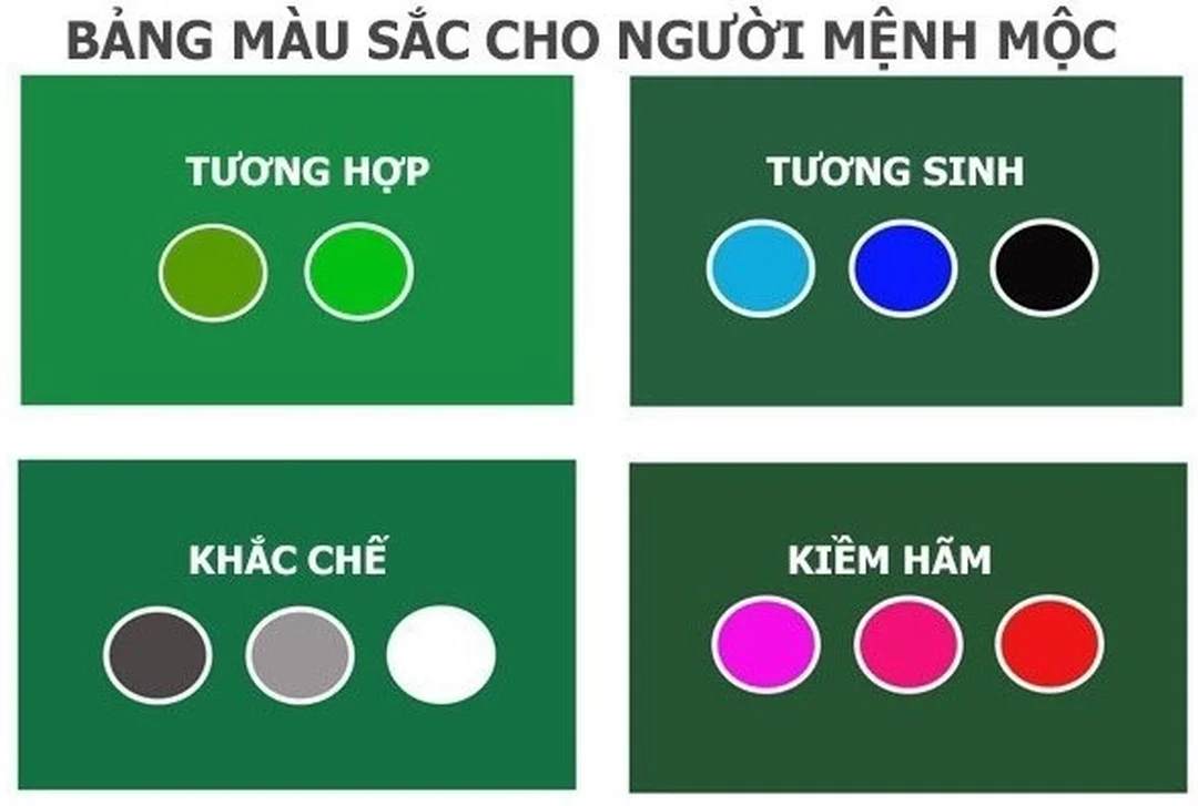 Màu sắc năm 2026 cho người mệnh Mộc khi gặp mệnh khắc mệnh mộc khắc mệnh gì và cách chọn màu năm 2026