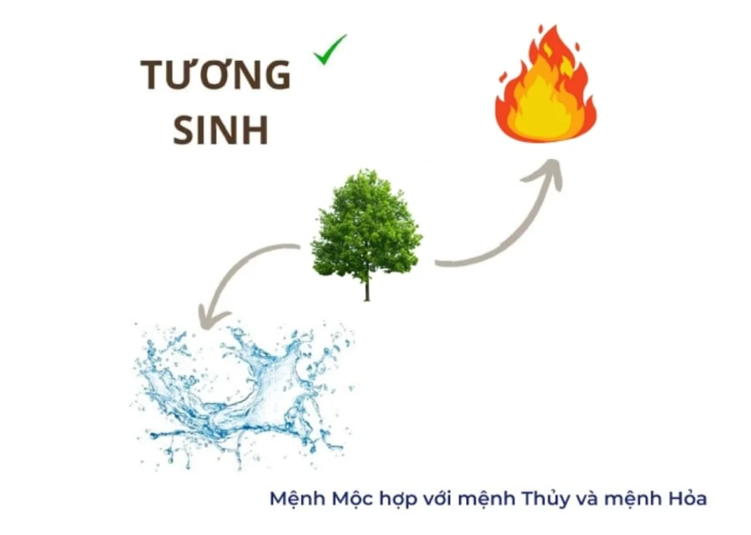Chọn màu hướng nghề sau khi biết mệnh Mộc nào mạnh nhất mệnh mộc nào mạnh nhất khi chọn màu sắc hướng và nghề nghiệp