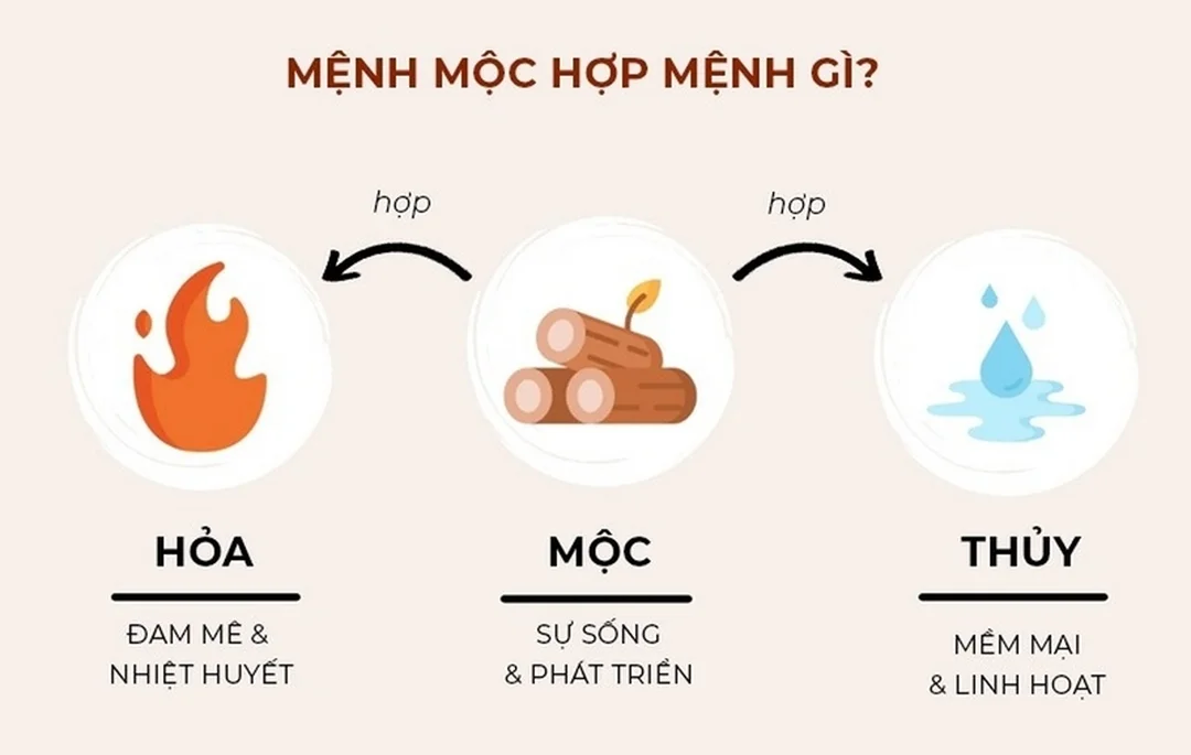 Câu hỏi thường gặp về mệnh Mộc nào mạnh nhất mệnh mộc nào mạnh nhất trong các câu hỏi thường gặp về phong thủy