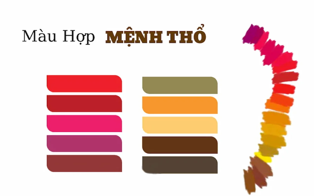 mệnh thổ 2006 hợp màu gì bảng màu tương sinh tương hợp