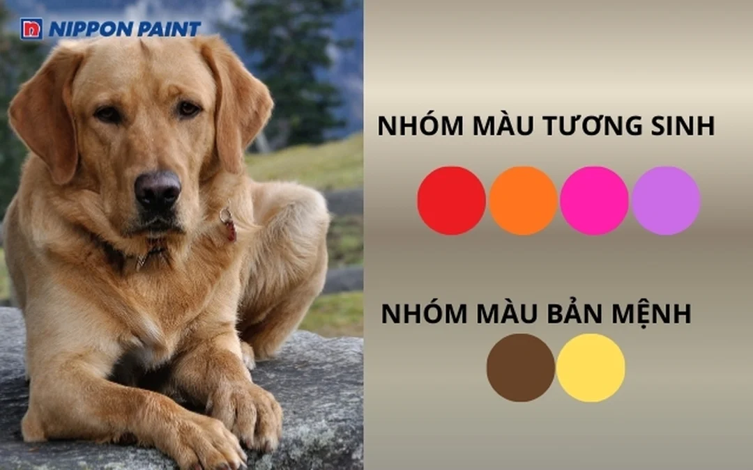 mệnh thổ 2006 hợp màu gì trong thiết kế nội thất hiện đại