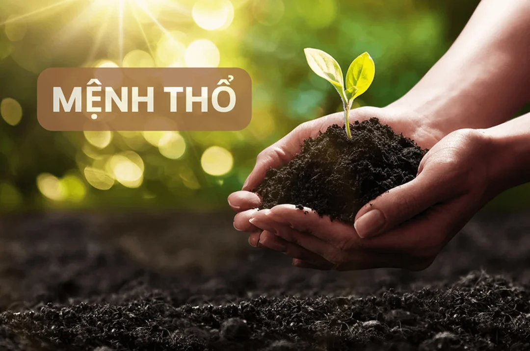 Mệnh Thổ hợp màu trắng không theo từng nạp âm hành Thổ mệnh thổ hợp màu trắng không theo từng nạp âm hành Thổ