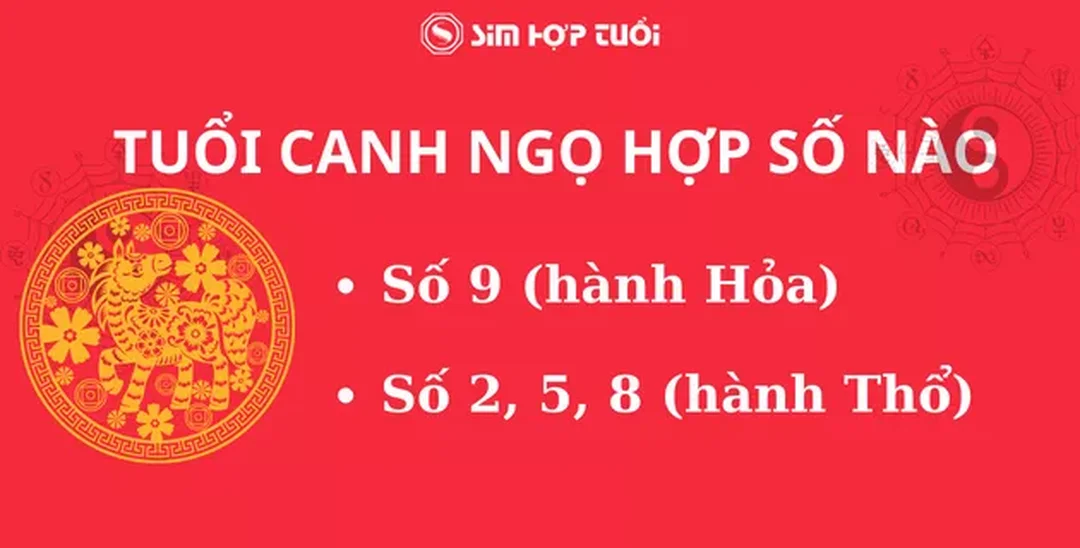 mệnh thổ hợp số nào theo tuổi và ứng dụng thực tế