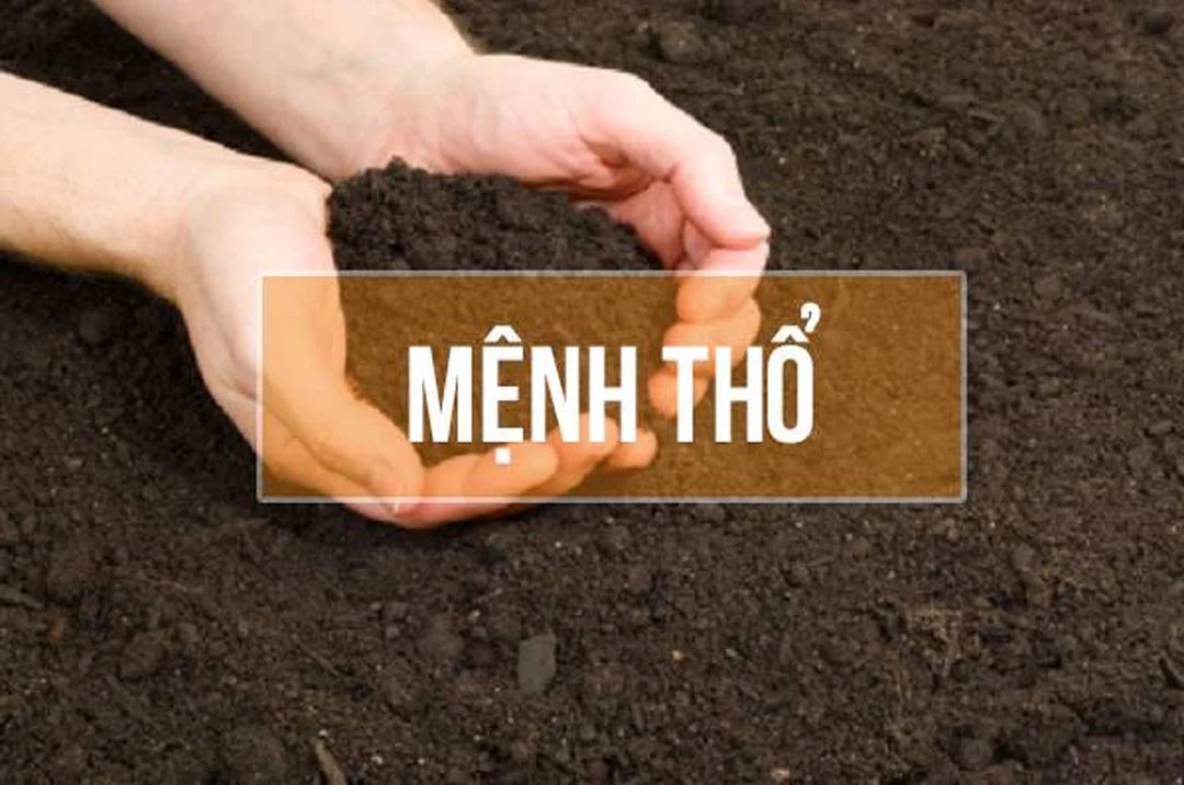 mệnh thổ kỵ màu gì khi chọn xanh lá cây