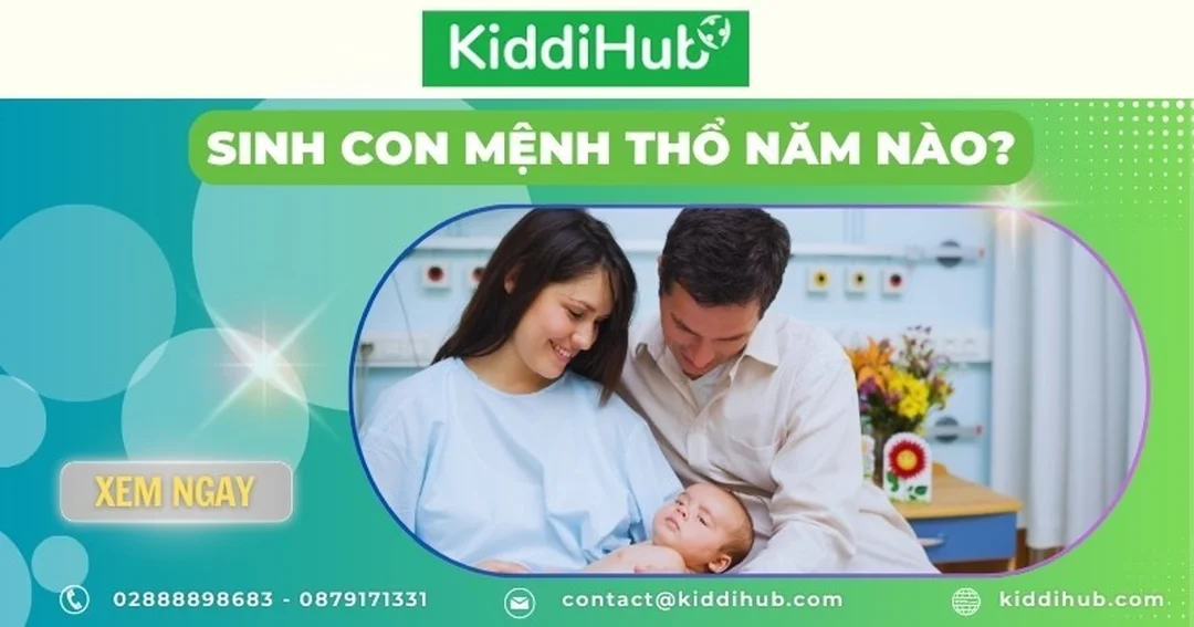 mệnh thổ sinh năm nào và lỗi thường gặp khi tra mệnh