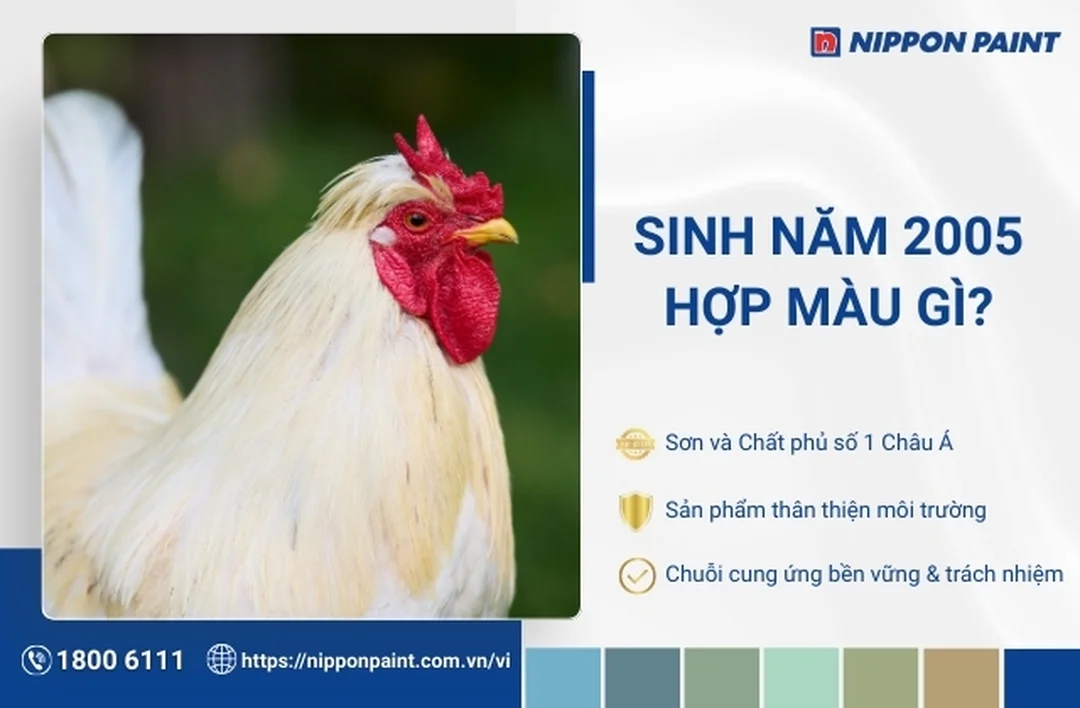 mệnh thủy 2005 hợp màu gì và kỵ màu gì khi sơn nhà