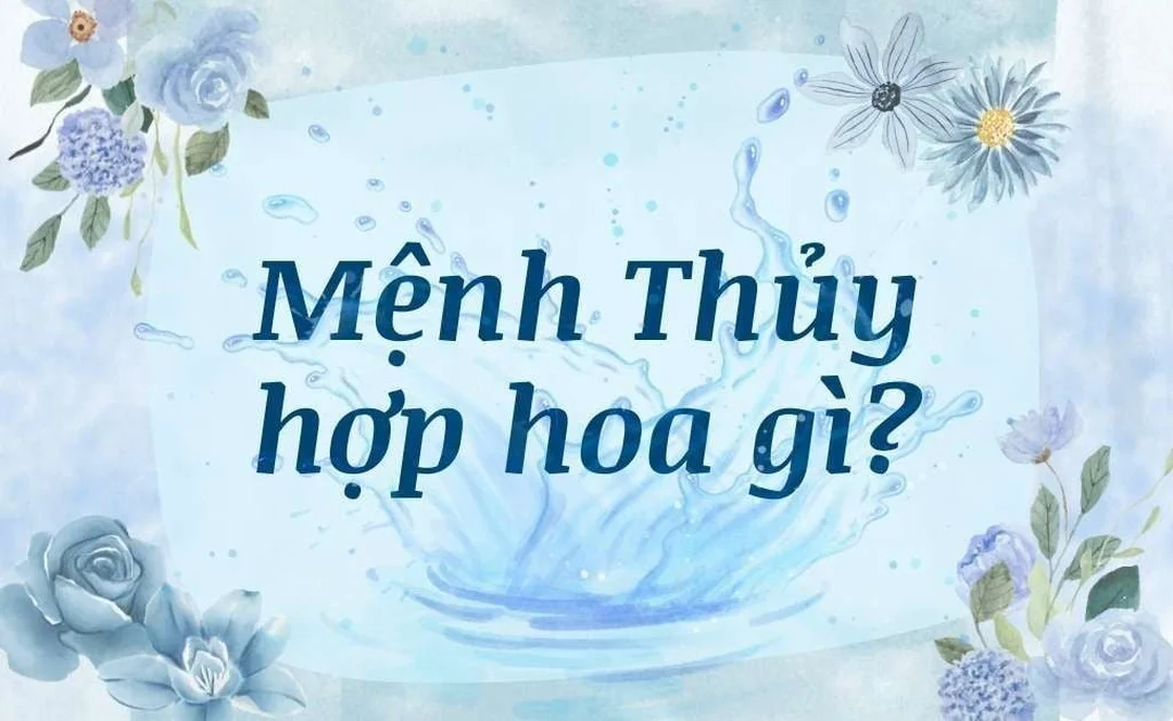mệnh thủy hợp hoa gì trong câu hỏi thường gặp