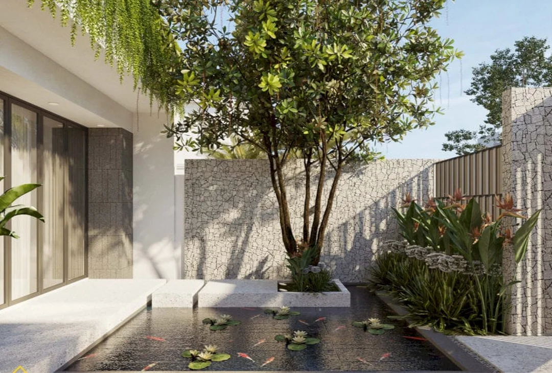Không đặt cây chắn ngay cửa chính nhà mệnh Thủy mệnh thủy nên trồng cây gì trước nhà không chắn cửa chính