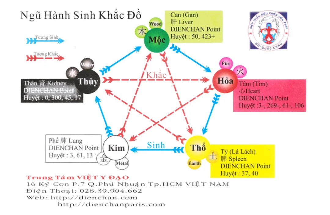 ngũ hành tương sinh diện chẩn với dụng cụ tô màu