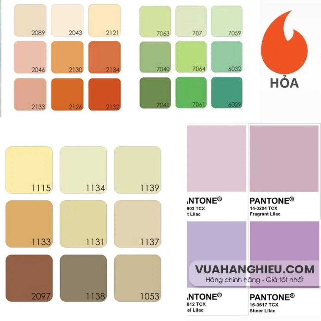Câu hỏi thường gặp về màu hợp mệnh Hỏa người mệnh hỏa hợp màu gì trong câu hỏi thường gặp về phong thủy
