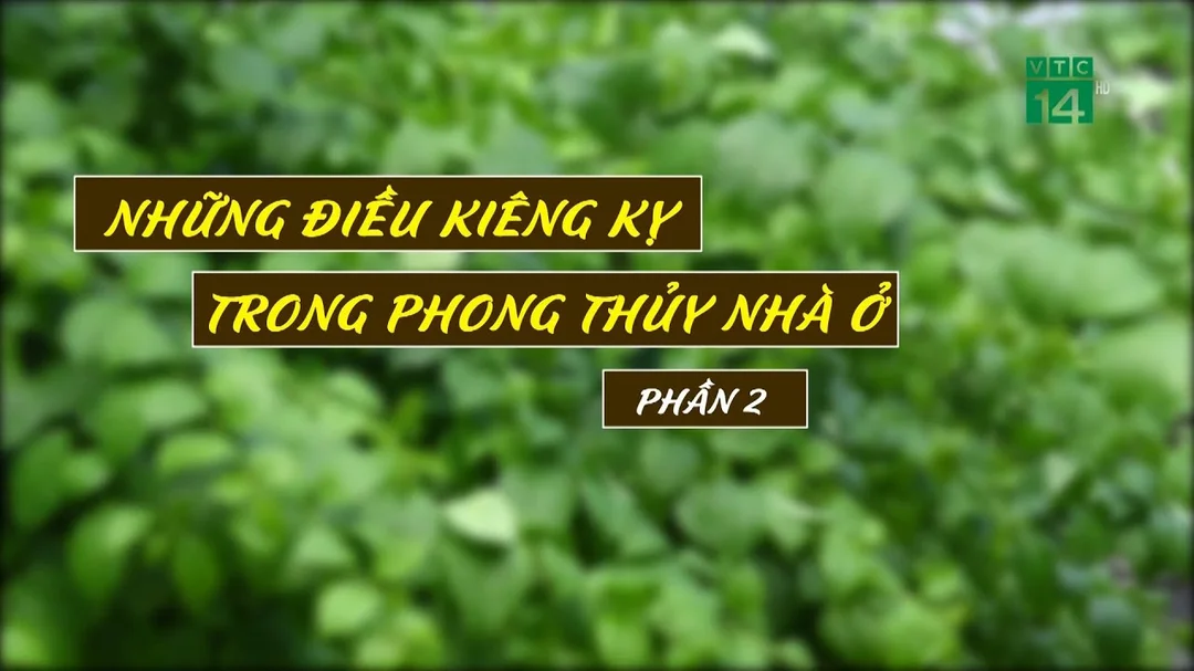 Câu hỏi thường gặp về phong thủy nhà ở những điều kiêng kỵ trong phong thủy nhà ở thường gặp