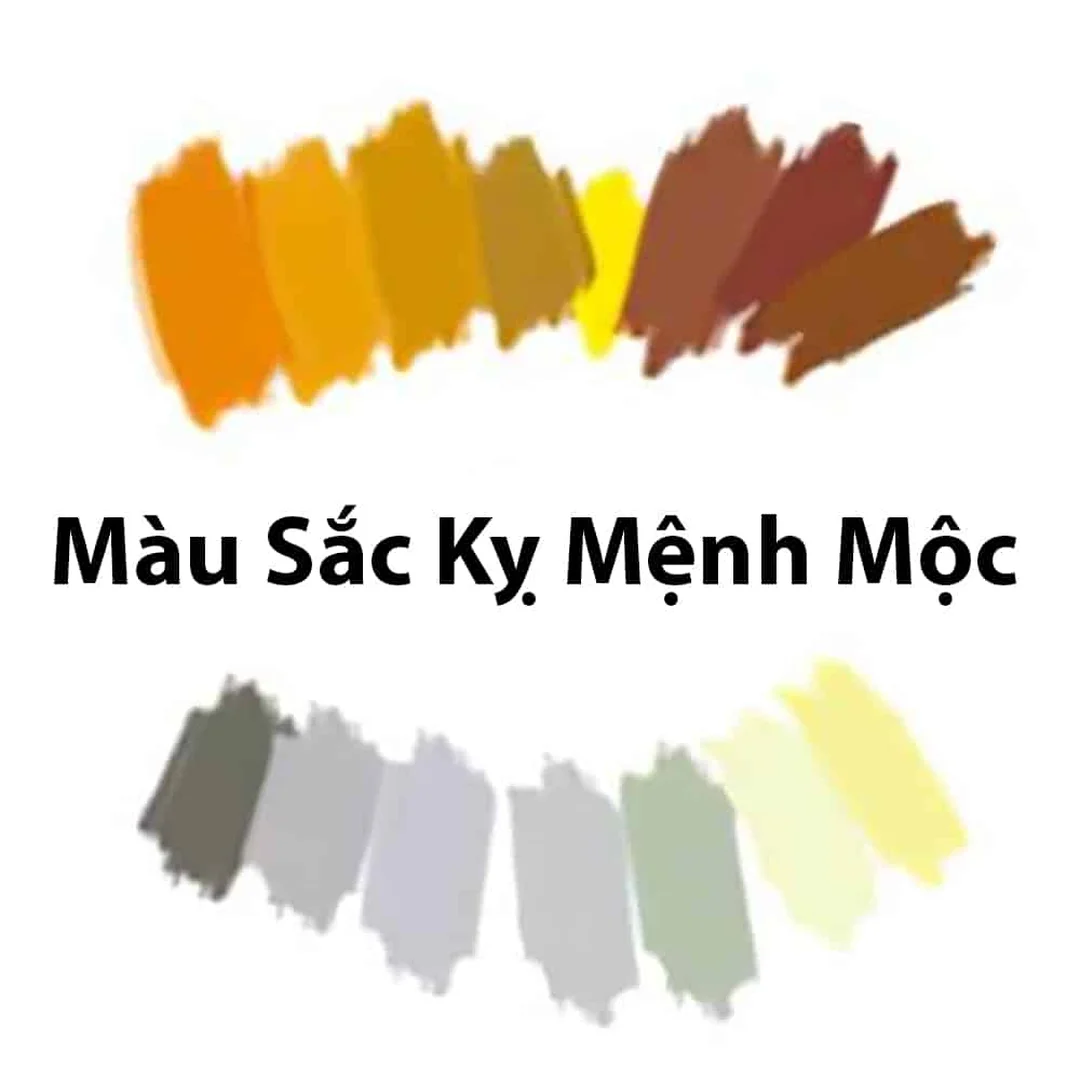 nữ mệnh mộc hợp màu gì với xanh dương và đen
