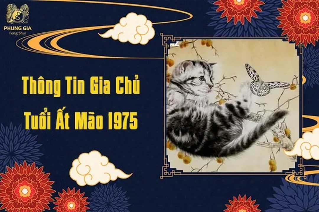 Câu hỏi thường gặp về phong thủy nhà ở tuổi ất mão phong thủy nhà ở tuổi ất mão giải đáp câu hỏi thường gặp