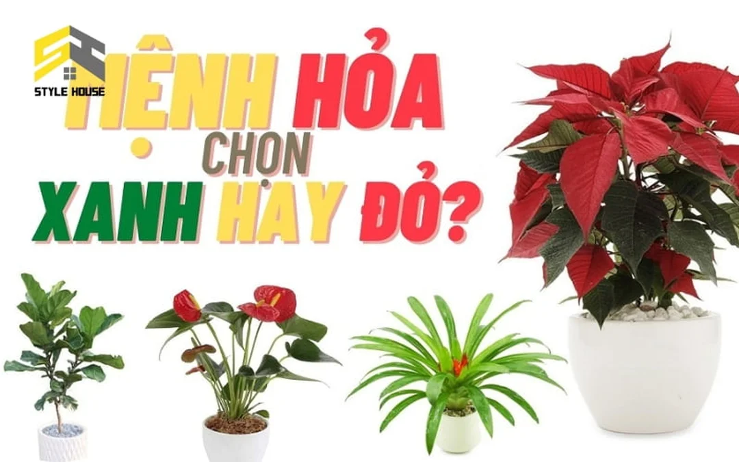 phong thủy phòng khách cho người mệnh hỏa với nội thất gỗ và cây xanh