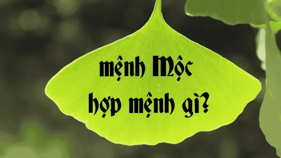 Sai lầm thường gặp khi tra năm sinh mệnh Mộc Sai lầm khi tra mệnh mộc sinh năm bao nhiêu
