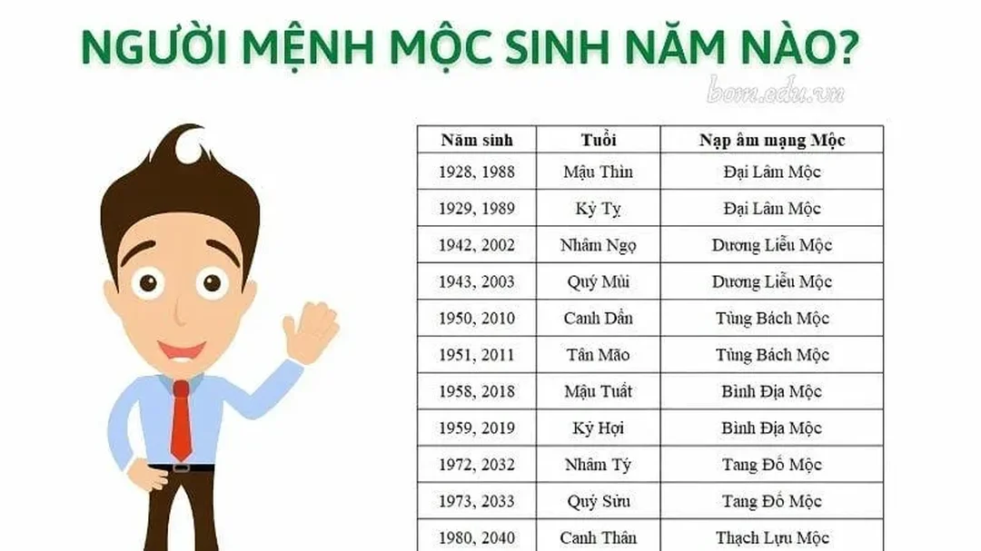 Sáu nạp âm khi tra mệnh Mộc năm nào sáu nạp âm giải thích mệnh mộc năm nào