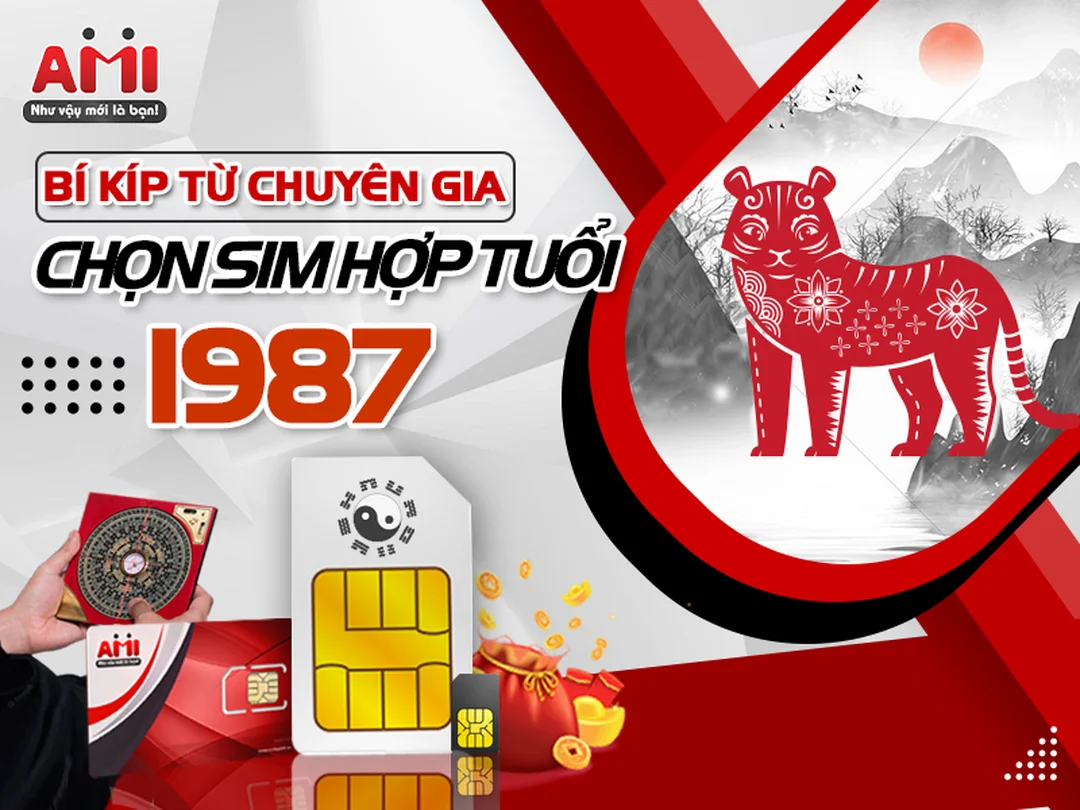 số hợp mệnh hỏa 1987 khi chọn sim Đinh Mão