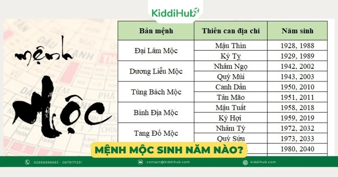 Màu sắc và ngũ hành cho người mệnh Mộc Ứng dụng màu sắc khi biết mệnh mộc sinh năm bao nhiêu