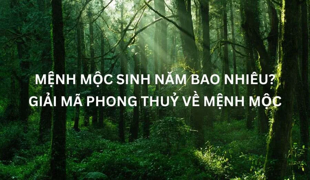 Ứng dụng thực tế cho người mệnh Mộc Ứng dụng thực tế sau khi biết mệnh mộc sinh năm bao nhiêu