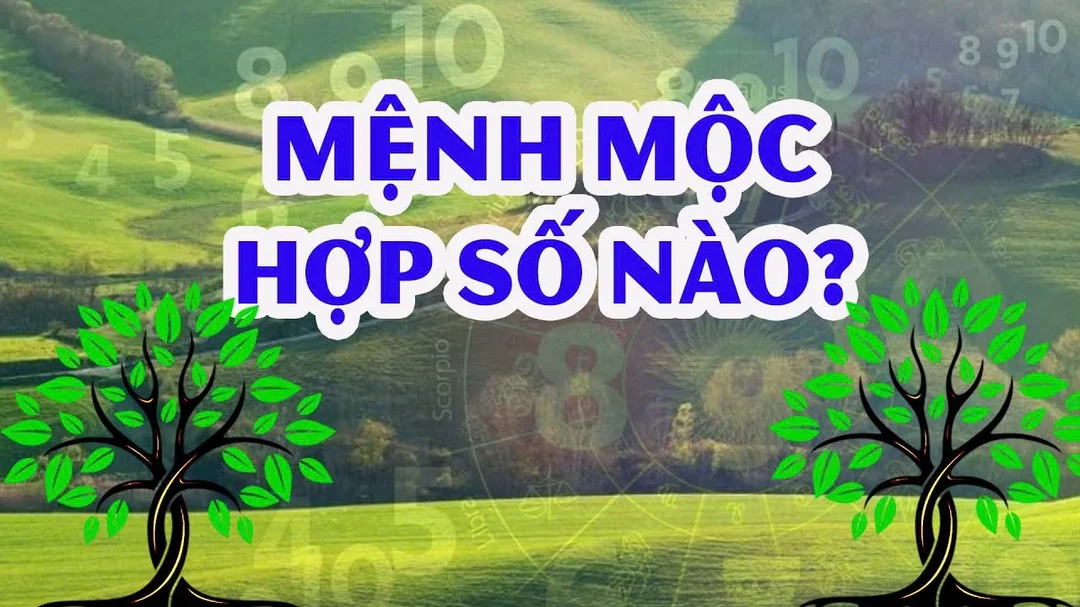 Video giải thích mệnh Mộc hợp số nào