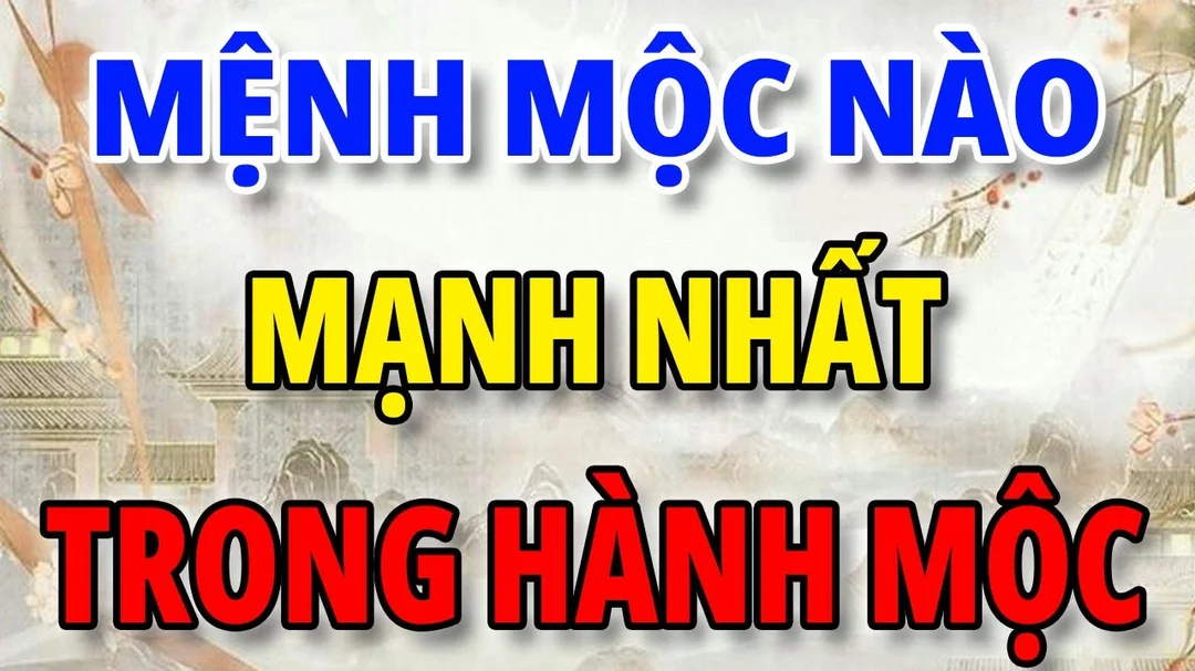 Video giải thích mệnh Mộc nào mạnh nhất trong ngũ hành