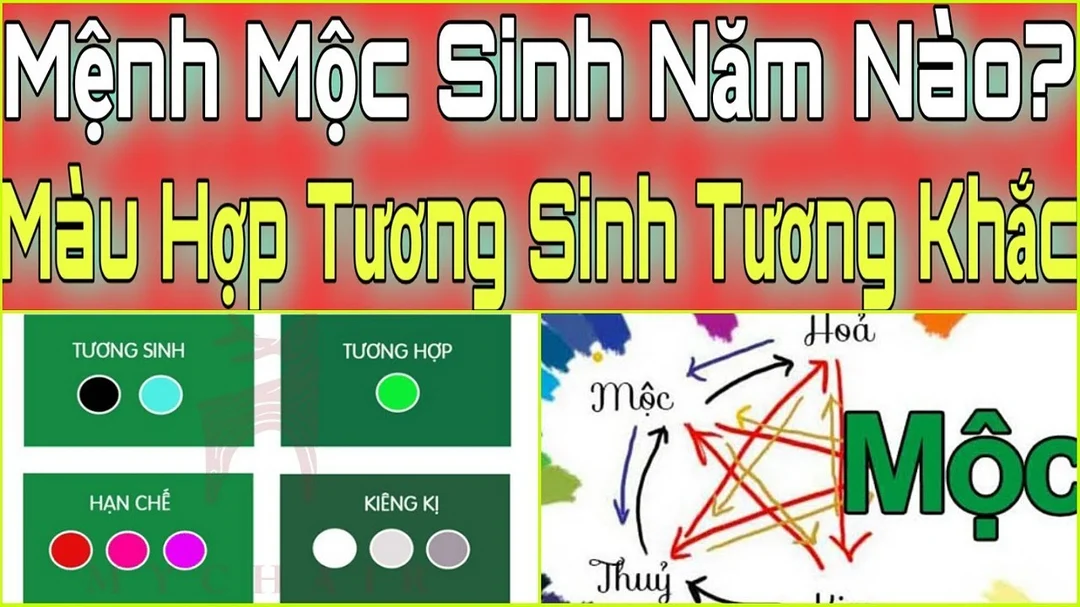 Video giải thích người mệnh Mộc sinh năm nào và hợp màu gì